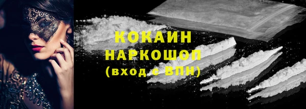 винт Няндома