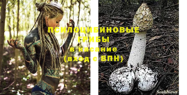 ALPHA-PVP Нязепетровск