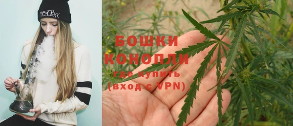 винт Няндома